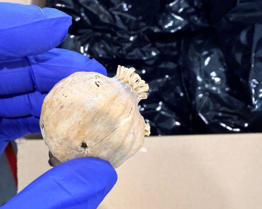 Police Dismantle Major Opiate Trafficking Ring in Cyprus
