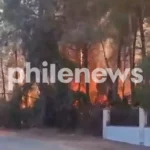 Pyrga Fire Under Control After Scorching 10 Hectares