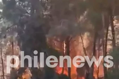 Pyrga Fire Under Control After Scorching 10 Hectares