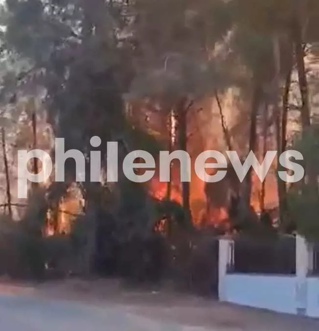 Pyrga Fire Under Control After Scorching 10 Hectares
