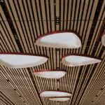 Silenza: Pioneering a New Era in Acoustic Solutions