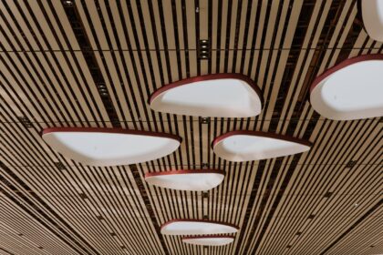 Silenza: Pioneering a New Era in Acoustic Solutions