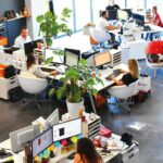 EU Employment Linked to Foreign Trade Reaches Record 31.6 Million in 2024
