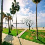 Paphos Campaign Drives Domestic Tourism Engagement