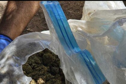 Police Seize 7kg Cannabis Sent to Cyprus, Arrest Made