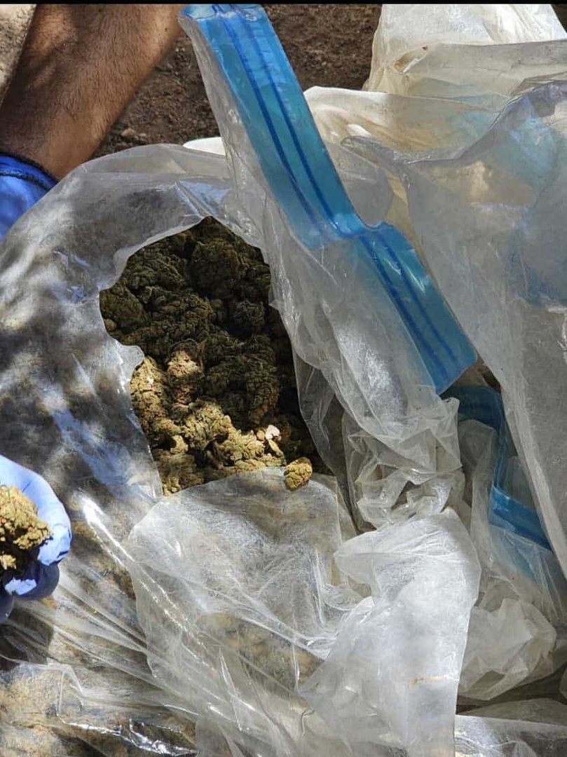 Police Seize 7kg Cannabis Sent to Cyprus, Arrest Made