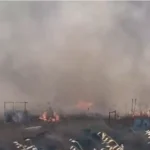 Firefighters Battle Ergates Wildfire as Flames Spread