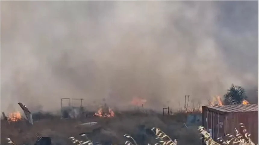 Firefighters Battle Ergates Wildfire as Flames Spread