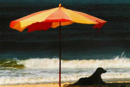 Yellow Weather Warning in Cyprus as Temperatures Reach 40C