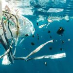 New EU Regulations on Forever Chemicals and Single-Use Plastics Set to Transform Cyprus
