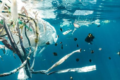New EU Regulations on Forever Chemicals and Single-Use Plastics Set to Transform Cyprus