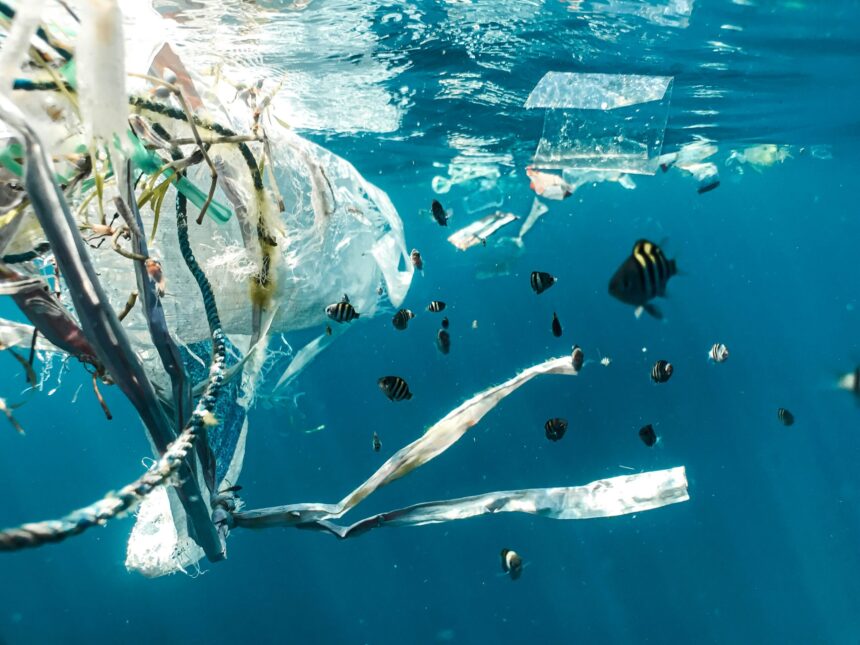 New EU Regulations on Forever Chemicals and Single-Use Plastics Set to Transform Cyprus