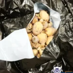 Cyprus Anti-Drug Squad Dismantles Opium Smuggling Network