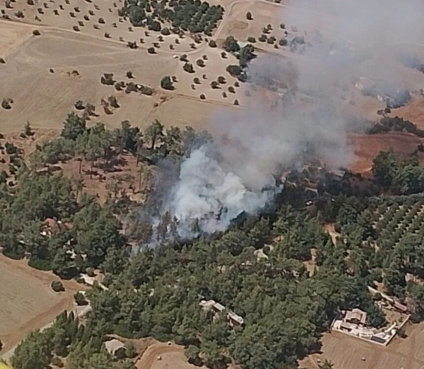 Pyrga Wildfire Contained After Threatening Homes